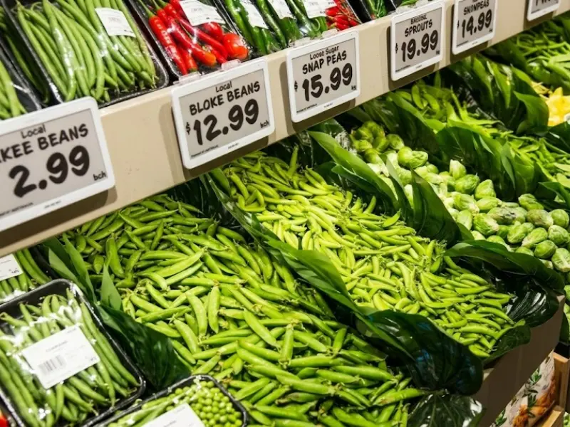 De folsleine hantlieding foar etiketteringssystemen foar winkelplanken